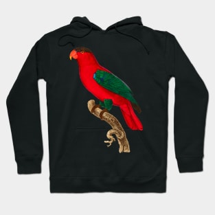 Black Panther Art - Beautiful Parrot 5 Hoodie